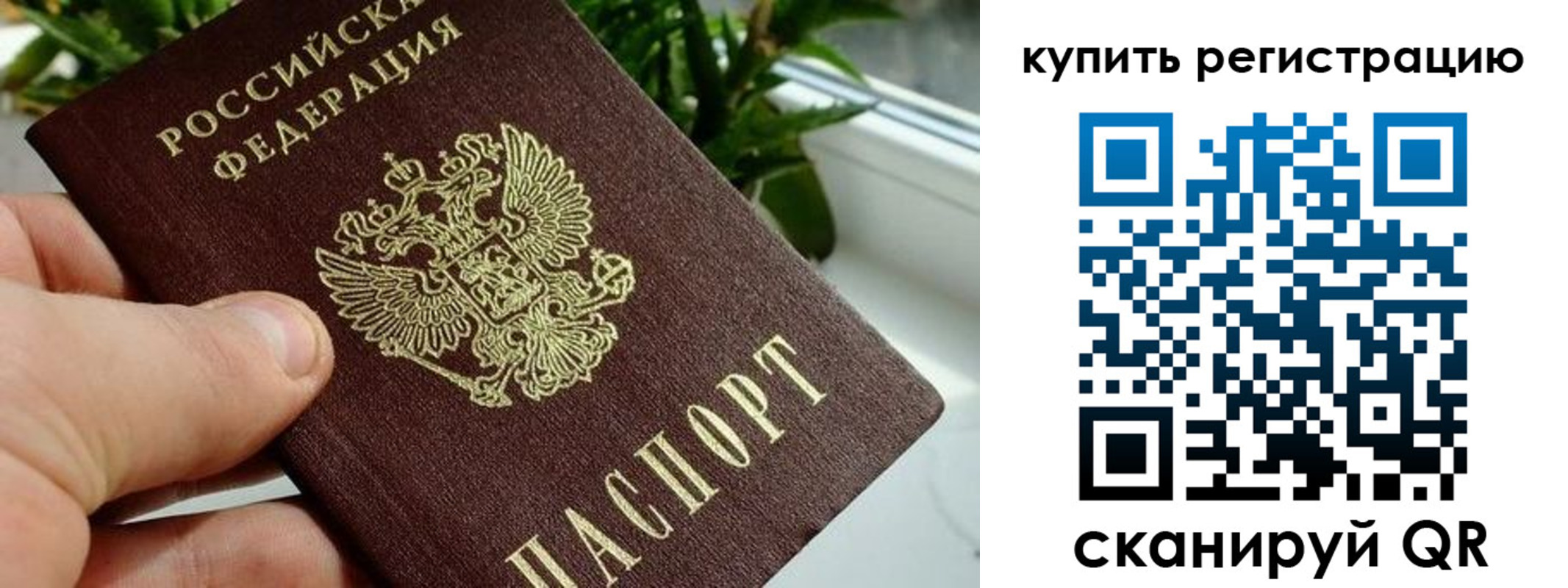прописка гарантия в Емве